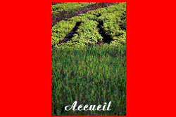 Accueil