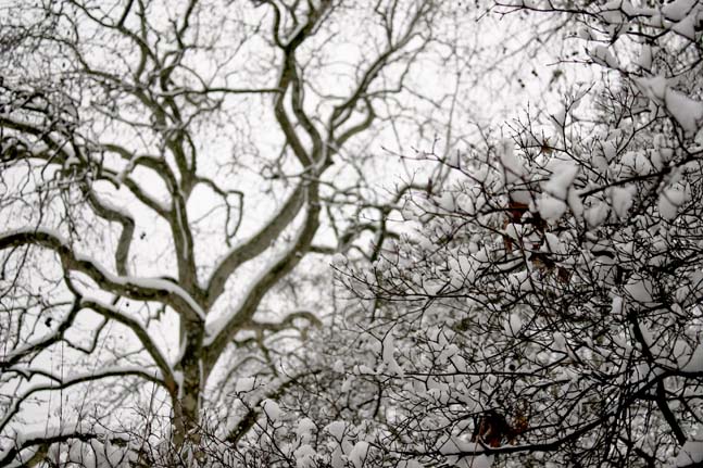 Londres sous la neige