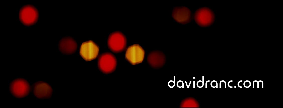 Website David Ranc